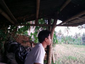 Menyapa Pagi di Tepi Sawah