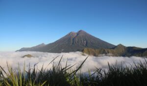 Pesona Bukit Pal Jepang Sapit Bagaikan Samudera di Atas Awan
