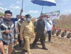 Wamentan RI, Harvick Hasnul Qalbi Panen Jagung di Riau