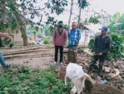 Rayakan Idul Adha 1442 H, HMI Cabang Selong Berqurban