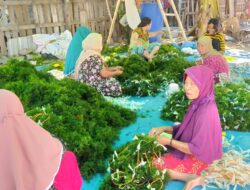 Menilik Budidaya dan Olahan Rumput Laut di Desa Wisata Labuhan Kertasari
