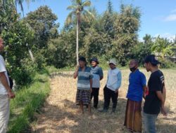 Jalan Panjang Membangun Destinasi Wisata Desa Sukadana
