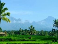 Tetebatu Jadi Duta Indonesia di Ajang Best Tourism Village UNWTO 2021