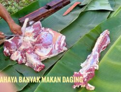 Bahaya Makan Daging Kurban Jika Berlebih