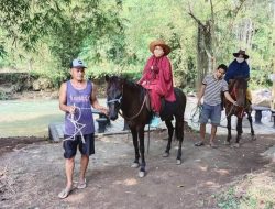 Karang Bayan Hadirkan Atraksi Wisata Berkuda