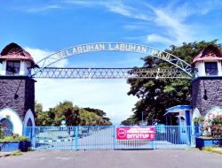 Malam Jum’at, Buaya Kembali Muncul Meresahkan Warga Labuhan Haji