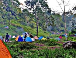 Di Masa Pandemi, Camping Ground di Tereng Willis Tetap Ramai