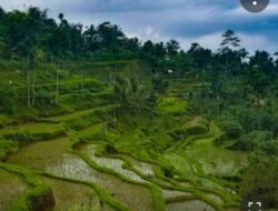 Jangan Berhenti Di Tete Batu