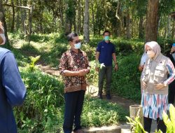 Tinjau Desa Tetebatu, Wakil Gubernur NTB Sayangkan Keringnya Embung Ulem-ulem