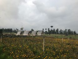 Explorasi Kledung Park di Kaki Gunung Sumbing-Sindoro Jawa Tengah