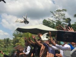 Seribu Merpati Sambut Gelaran WSBK 2021 dan MotoGP Mandalika