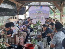 Topang Ekonomi Lombok Timur di Masa Pandemi, Pemerintah Diminta Serius Perhatikan Sektor Pertanian