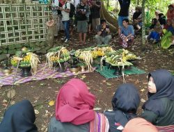 Tradisi Budaya Bebubus Batu Dusun Batu Pandang Sapit Segera Digelar