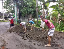Sering Terjadi Kecelakaan, Warga Tanak Malit Masbagik Gotong Royong Timbun Jalan Rusak