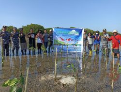 Gili Petagan Ditanami Dua Ribu Pohon Mangrove