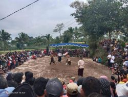 Ratusan Masyarakat Tumpah Ruah Hadiri Acara Pembukaan Peresean Pepadu Tandur Sabuk Belo