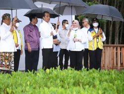 Jelang KTT G20, Jokowi Tinjau Tahura Ngurah Rai Bali