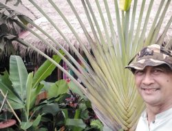 Pentingnya Penulisan Sejarah Keberadaan Homestay di Lombok Timur