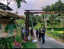 Ambrolnya Jembatan Ulem-ulem Berdampak Besar. Puluhan Hektar Sawah Rusak Berat Sejumlah Destinasi Wisata Tetebatu Kesulitan Air Bersih