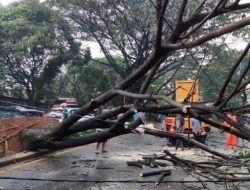 Tingginya Curah Hujan dan Angin di Pulau Lombok, Sejumlah Wilayah Kerap Terjadi Longsor dan Pohon Tumbang