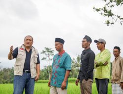 Bisa Menyelamatkan Sumber Pangan di Masa Depan, HBK Ingin Food Estate Merata di Seluruh Wilayah NTB