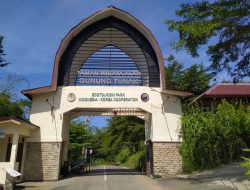Prihatin. Penangkaran Rusa dan Kupu-kupu di Taman Wisata Alam Gunung Tunak Lombok Tengah Tidak Terawat