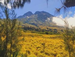 Valley Hopen, Julukan Terbaru yang Diberikan oleh Wisatawan Mancanegara untuk Lembah Gunung Rinjani