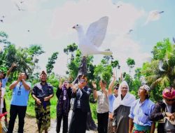 Segera Digelar, Lenggang Pesona Wisata (L@ Pesta) 2023 Dara Ngindang ke-4 di Desa Lendang Belo
