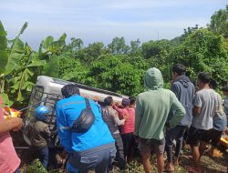 Akibat Rem Blong, Sebuah Minibus Alami Kecelakaan Tunggal di Desa Sajang Sembalun