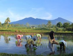 Sebuah Catatan Kecil dari Tetebatu