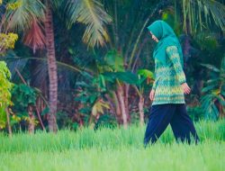 Ummi Rohmi : NTB Harus Tetap Lumbung Pangan di Tengah Globalisasi dan Kemajuan Zaman