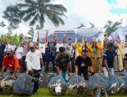 Kadis Perindustrian Provinsi NTB Hj Nuryanti Ajak Peserta Festival Dara Ngindang ke-5 untuk Membuat Pakan Sendiri