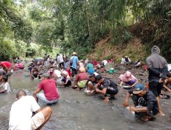 Geger Penemuan Emas, Kali Bendung Desa Kilang Ramai Didatangi Warga yang Ingin Mendulang Emas