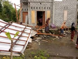 Cuaca Ekstrim di Lombok Timur Sebabkan Pohon Tumbang Hingga Merusak Rumah