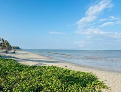Pantai Labuhan Haji Kian Tergerus Abrasi, Pemecah Gelombang Dinilai Jadi Solusi