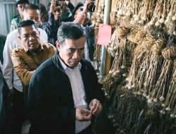 Kejar Target Swasembada, Mentan Jadikan NTB Tulang Punggung Bawang Putih RI