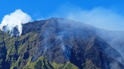 Bukit Sempana Terbakar, 25 Wisatawan Dievakuasi Darurat di Tengah Malam