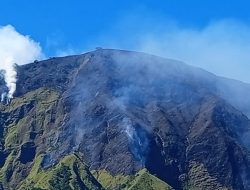 Bukit Sempana Terbakar, 25 Wisatawan Dievakuasi Darurat di Tengah Malam