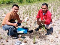 Bukan Sekadar Tambang, Menguji Kualitas Tanah Lombok Timur