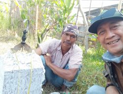 Dahlan dan Harga Dua Ribu dari Seekor Kicauan