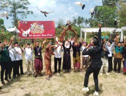 Festival Dara Ngindang ke-7 Sukses, 36 Turis Mancanegara Takjub Saksikan Ribuan Merpati